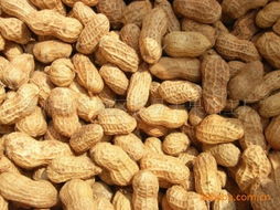 漳州市薌城區(qū)富易干果加工廠 炒貨類產(chǎn)品精選，盡享傳統(tǒng)干果之美